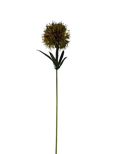Czosnek gałązka 50 cm zielony