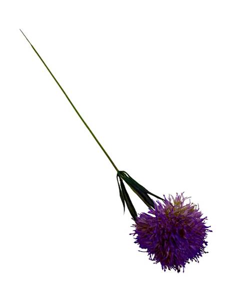 Czosnek gałązka 50 cm fiolet
