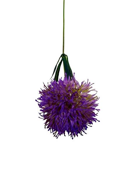 Czosnek gałązka 50 cm fiolet