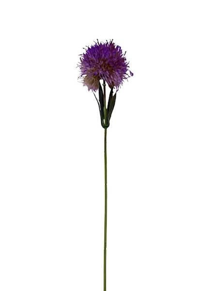 Czosnek gałązka 50 cm fiolet