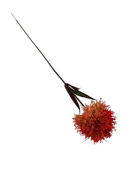 Czosnek gałązka 50 cm pomarańcz