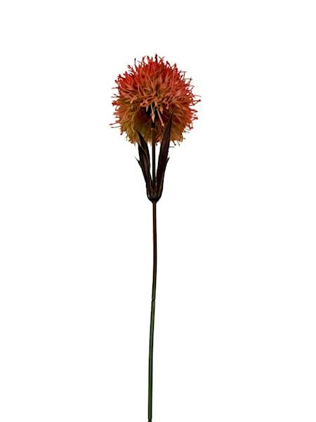 Czosnek gałązka 50 cm pomarańcz
