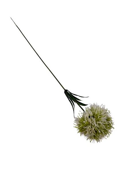 Czosnek gałązka 50 cm biało zielony