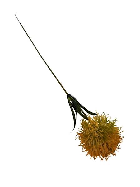 Czosnek gałązka 50 cm żółty