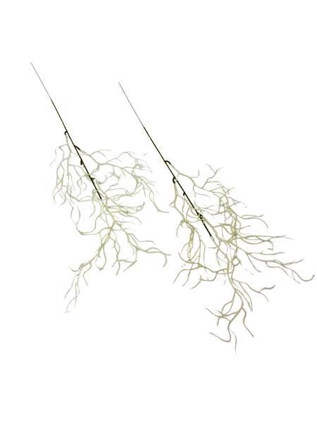 Wierzba gałązka 50 cm biała 2 SZTUKI