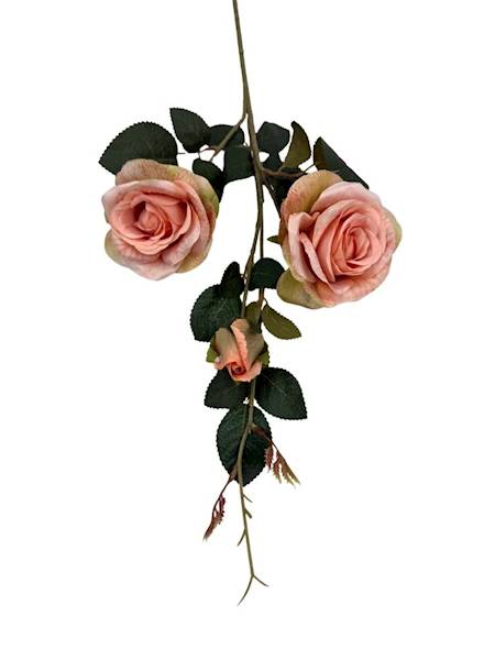 Róża gałązka 84 cm brzoskwiniowa z zielonym