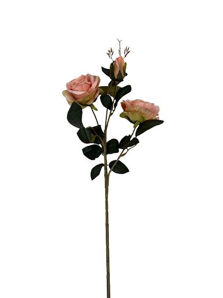 Róża gałązka 84 cm brzoskwiniowa z zielonym