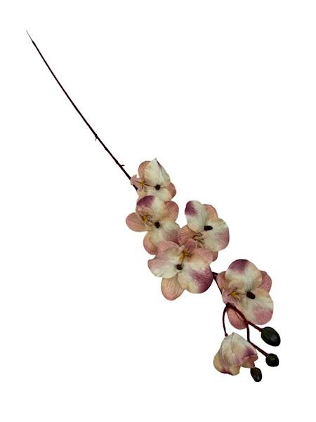 Storczyk gałązka 77 cm krem i róż