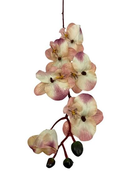 Storczyk gałązka 77 cm krem i róż