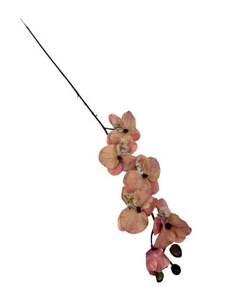 Storczyk gałązka 77 cm brudny róż