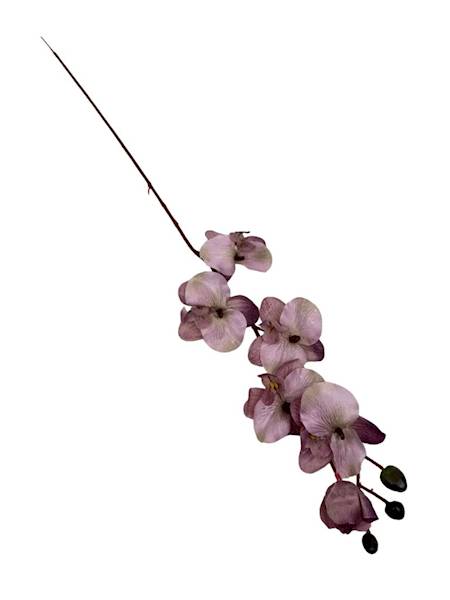 Storczyk gałązka 77 cm fiolet