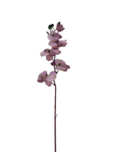 Storczyk gałązka 77 cm fiolet