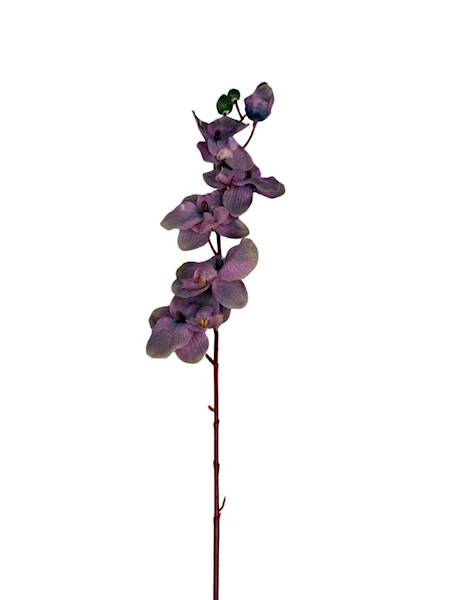 Storczyk gałązka 77 cm brudny fiolet
