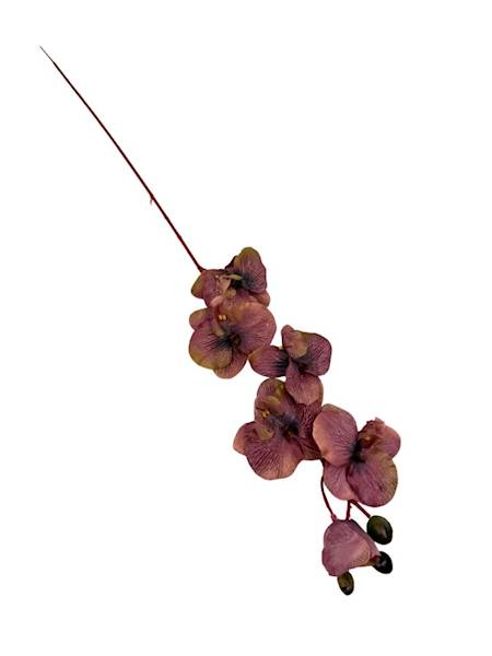 Storczyk gałązka 77 cm ciemny brudny róż