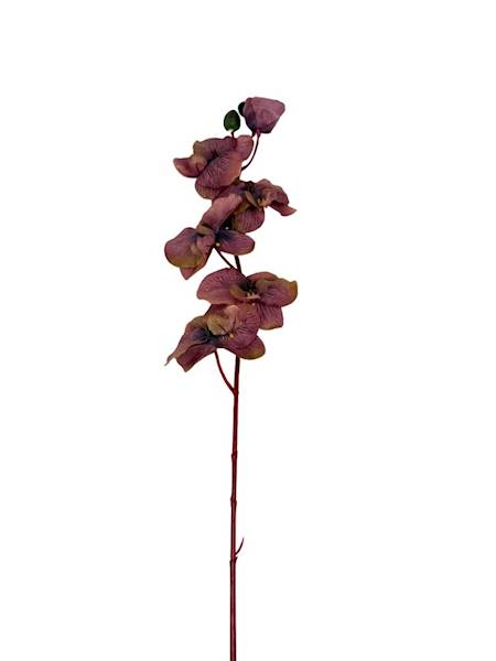 Storczyk gałązka 77 cm ciemny brudny róż
