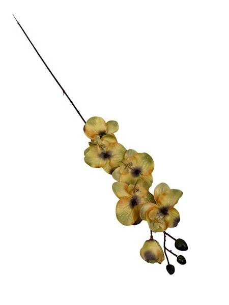 Storczyk gałązka 77 cm żółty