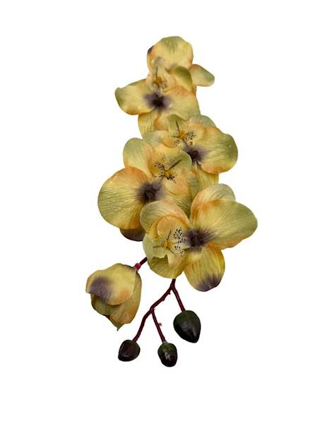 Storczyk gałązka 77 cm żółty