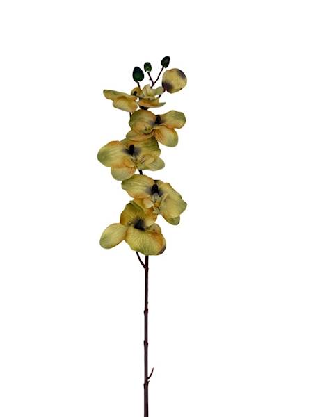 Storczyk gałązka 77 cm żółty