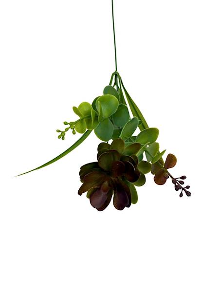 Dodatek sukulent gałązka 47 cm zielono purpurowy