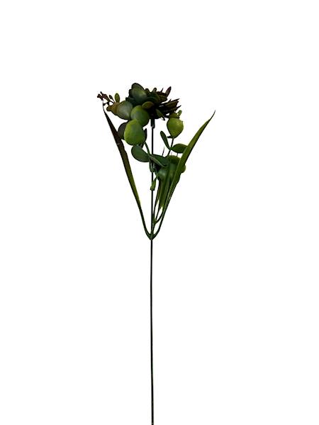 Dodatek sukulent gałązka 47 cm zielono purpurowy