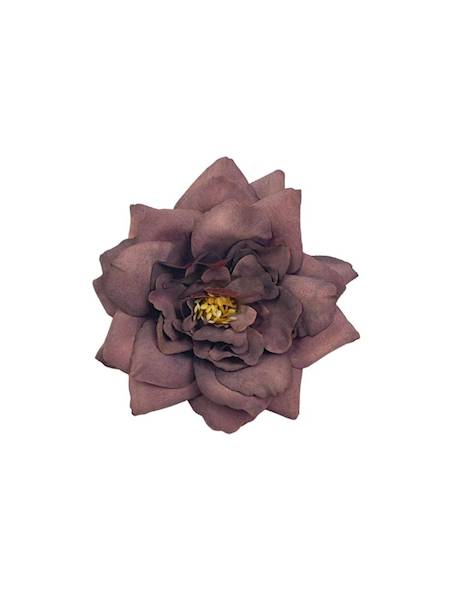 Gardenia główka 10 cm bordowa