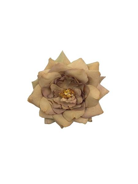 Gardenia główka 10 cm jasny brąz