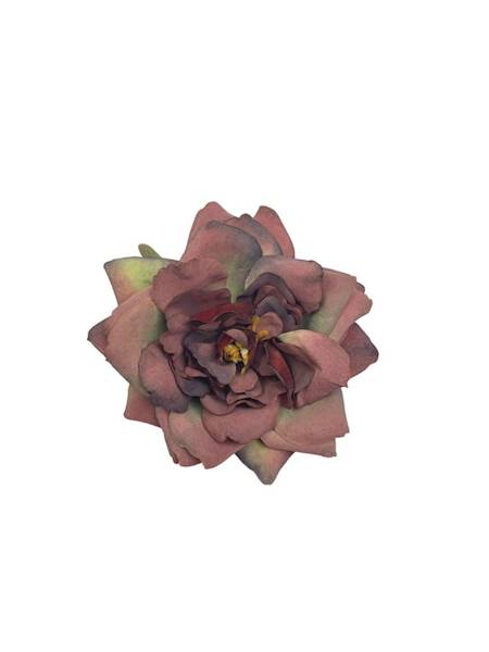 Gardenia główka 10 cm bordo z zielonym