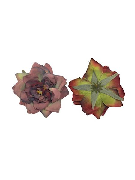 Gardenia główka 10 cm bordo z zielonym