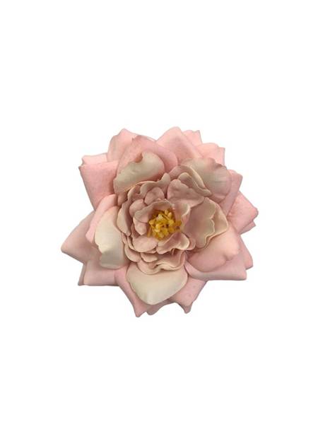 Gardenia główka 10 cm jasny róż