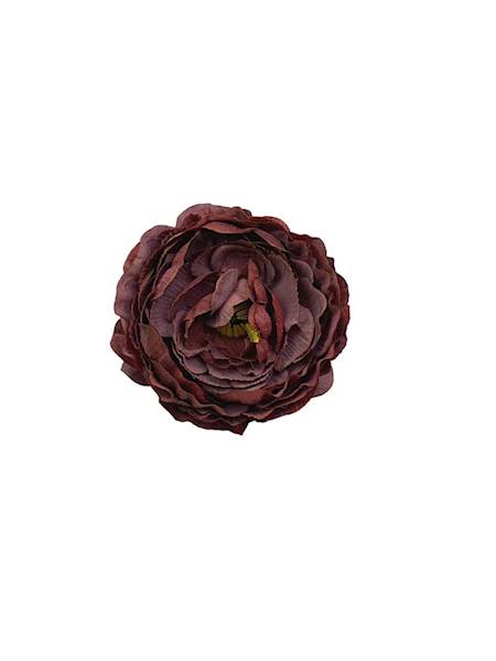 Pełnik główka 9 cm bordo