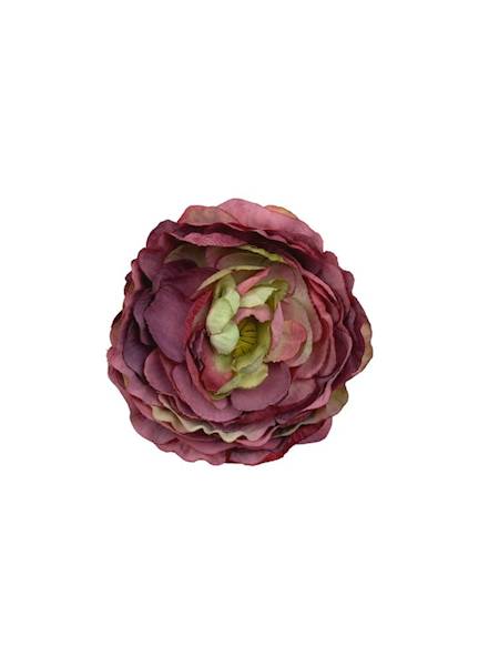 Pełnik główka 9 cm purpura z zielonym