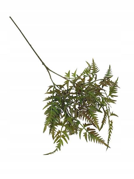 Gałązka paproć 68 cm zielona
