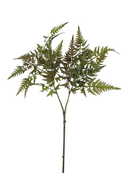 Gałązka paproć 68 cm zielona