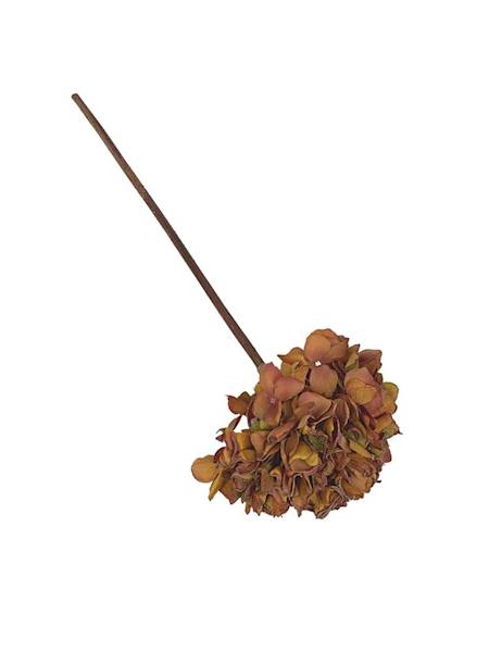 Hortensja jesienna gałązka 50 cm brąz