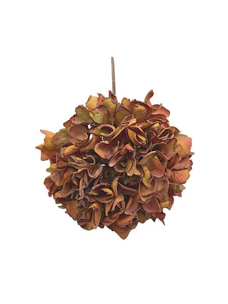 Hortensja jesienna gałązka 50 cm brąz