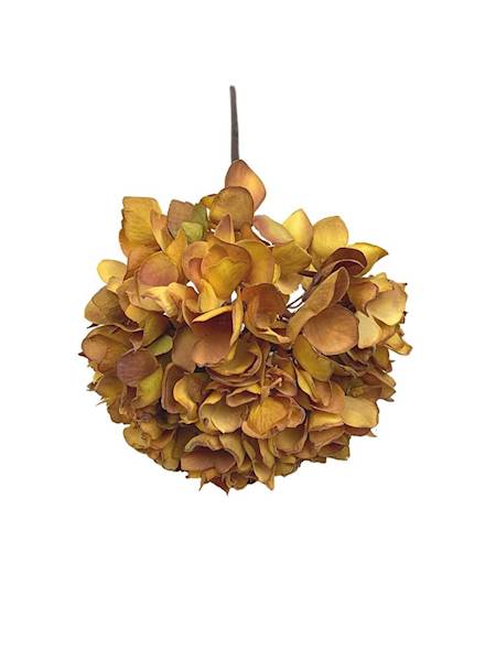 Hortensja jesienna gałązka 50 cm musztardowa