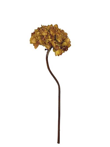 Hortensja jesienna gałązka 50 cm musztardowa