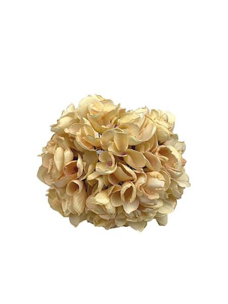 Hortensja jesienna gałązka 50 cm kremowa