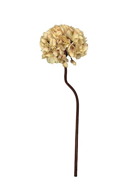 Hortensja jesienna gałązka 50 cm kremowa