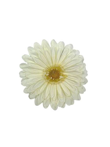 Gerbera główka 10 cm kremowa