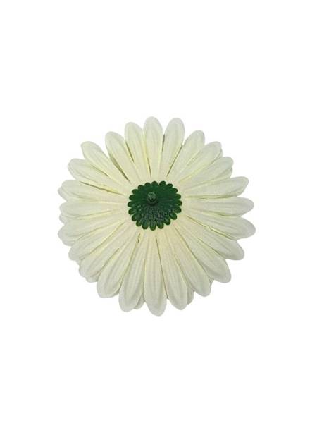 Gerbera główka 10 cm kremowa