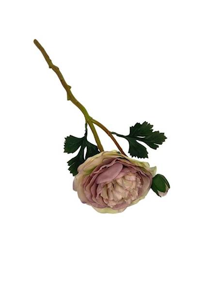 Pełnik jaskier 35 cm brudny róż
