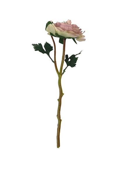 Pełnik jaskier 35 cm brudny róż