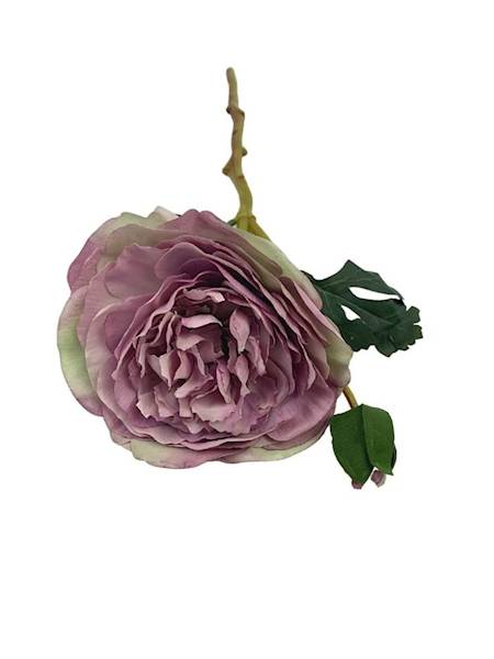 Pełnik jaskier 35 cm brudny fiolet