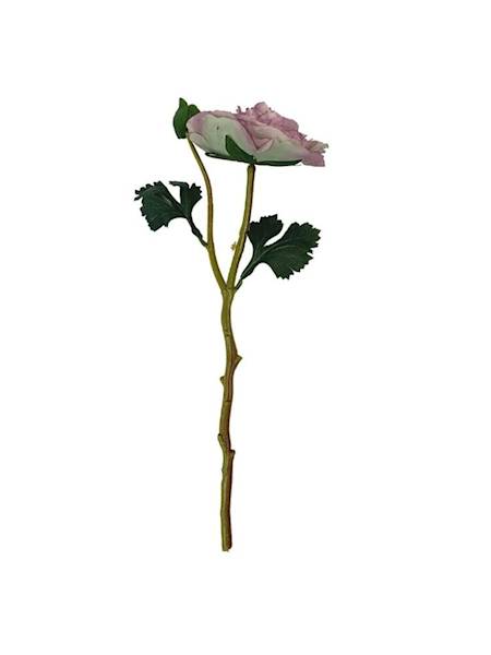 Pełnik jaskier 35 cm brudny fiolet