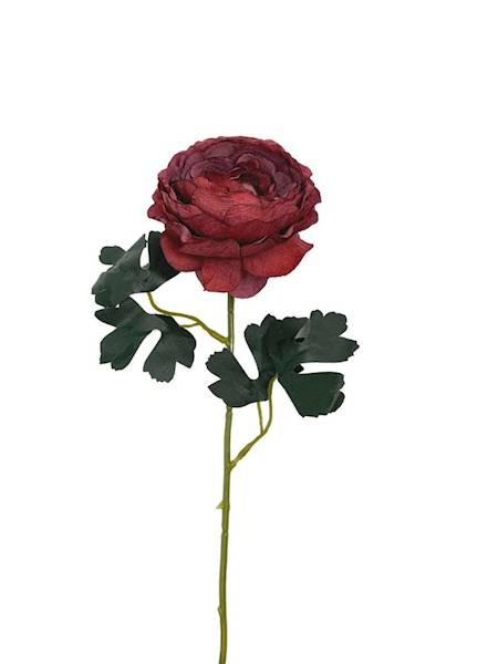 Pełnik gałązka 54 cm czerwony