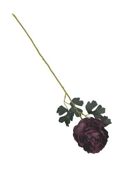 Pełnik gałązka 54 cm purpurowy