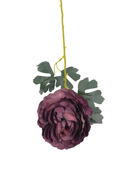 Pełnik gałązka 54 cm purpurowy