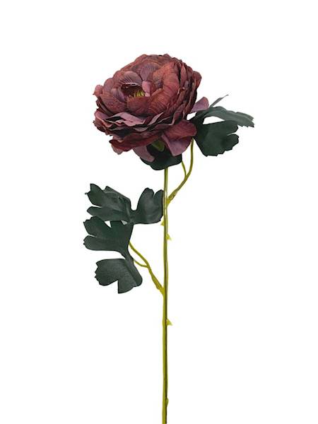 Pełnik gałązka 54 cm bordowy