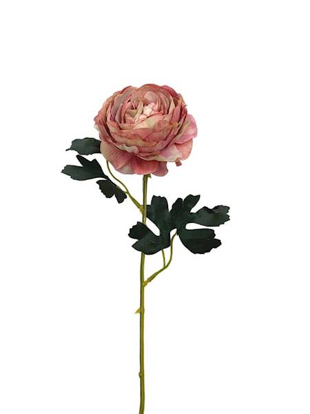 Pełnik gałązka 54 cm rózowo kremowy